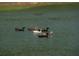 Ducks swim in a pond of the property, an inviting scene for nature enthusiasts and bird watchers at 2470 Breakaway Trl, Johns Island, SC 29455