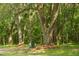Towering oak trees with Spanish moss, adds a touch of southern elegance to the natural landscape at 2470 Breakaway Trl, Johns Island, SC 29455