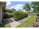 Beautifully landscaped backyard featuring manicured hedges, lush greenery, and a concrete patio area for outdoor relaxation and enjoyment at 2912 Doncaster Dr, Charleston, SC 29414