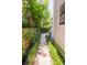 A narrow walkway between the house and fence, surrounded by greenery at 50 South St, Charleston, SC 29403