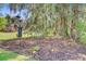 Secluded backyard with a decorative bench nestled among mature trees and lush foliage at 5433 Falling Tide, North Charleston, SC 29420