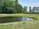Picturesque community pond surrounded by lush greenery, offering a tranquil view at 677 Redbud Ln, Summerville, SC 29486