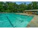 Large community pool area with lifeguards, lounge chairs and pool house at 69 King Charles Cir, Summerville, SC 29485