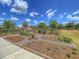 Picturesque community garden with raised beds, bird bath, and a variety of plantings under a blue sky at 1017 Marsh Royal St, Summerville, SC 29485