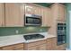 Kitchen with stainless steel appliances and quartz counters at 106 Sago Palm Ct, Summerville, SC 29483