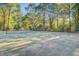 Private tennis court surrounded by trees, perfect for active recreation at 108 E Walker Dr, Summerville, SC 29483