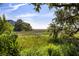 Lush backyard featuring green grass and foliage with a scenic marsh view at 2087 Sterling Marsh Ln, Seabrook Island, SC 29455