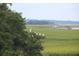 View from mature tree of marsh with wild life at 2087 Sterling Marsh Ln, Seabrook Island, SC 29455