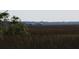 Peaceful marsh scene with distant docks, captured from a low perspective at 2087 Sterling Marsh Ln, Seabrook Island, SC 29455