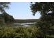 Scenic view of a tranquil marsh framed by lush greenery and trees, offering a serene natural landscape at 2087 Sterling Marsh Ln, Seabrook Island, SC 29455