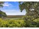 Lush marsh landscape featuring vibrant greenery, winding waterways, and a serene, natural setting at 2087 Sterling Marsh Ln, Seabrook Island, SC 29455