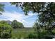 Picturesque marsh view framed by mature trees and vegetation from neighborhood at 2087 Sterling Marsh Ln, Seabrook Island, SC 29455