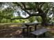 Peaceful picnic area featuring a wooden table and benches under a large tree at 2087 Sterling Marsh Ln, Seabrook Island, SC 29455