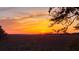 Picturesque sunset over the marsh, framed by natural foliage, showcasing the serene coastal landscape at 2087 Sterling Marsh Ln, Seabrook Island, SC 29455