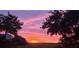 Vibrant sunset painting the sky in pink and orange hues, framed by silhouettes of trees, creating a picturesque scene at 2087 Sterling Marsh Ln, Seabrook Island, SC 29455
