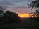 Colorful sunset over the marsh framed by trees, offering a peaceful view and promising beautiful evenings at 2087 Sterling Marsh Ln, Seabrook Island, SC 29455