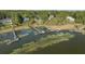 Overhead view of multiple docks and waterfront homes in a lush, green setting at 3130 Pignatelli Cres, Mount Pleasant, SC 29466