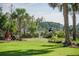 Lush backyard with palm trees and lounge chairs, offering a private outdoor retreat at 3130 Pignatelli Cres, Mount Pleasant, SC 29466