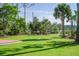 Expansive backyard featuring lush green grass and mature trees, creating a serene outdoor space at 3130 Pignatelli Cres, Mount Pleasant, SC 29466