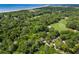 Expansive overhead shot showcasing the lush green landscape, golf course and ocean views at 33 Painted Bunting Ln, Kiawah Island, SC 29455