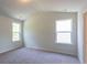 Bedroom with carpet and two windows at 413 Mistflower Ln, Moncks Corner, SC 29461
