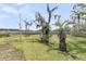 Grassy backyard with several trees, and a bench at 4702 Blockhouse Ln, Hollywood, SC 29449