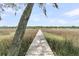 Wooden dock with waterfront views surrounded by tall grass and a large tree at 4702 Blockhouse Ln, Hollywood, SC 29449