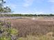 Scenic marshland with expansive views and a wooden walkway, perfect for nature lovers at 4702 Blockhouse Ln, Hollywood, SC 29449