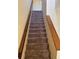 Carpeted stairs with wooden banisters leading to the upper level at 6 Town Park Ln # C, Charleston, SC 29412