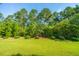 A well maintained backyard featuring green grass, mature trees, and manicured bushes at 626 Battery Edge Dr, Summerville, SC 29486