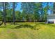 Large backyard with lush green grass and mature trees, perfect for outdoor activities at 689 W Butternut Rd, Summerville, SC 29483