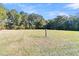 Spacious lot features an expansive grassed area surrounded by trees, perfect for outdoor activities and recreation at 125 Towering Pine Dr, Ladson, SC 29456