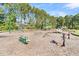 Community playground with swings, slides, and climbing structures, perfect for Gathering fun and recreation at 125 Towering Pine Dr, Ladson, SC 29456