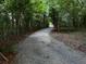 Long gravel driveway leading through a tree-lined path, providing privacy and a sense of seclusion at 1671 Dawson Branch Rd, Summerville, SC 29483