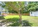 Expansive backyard featuring green lawn, privacy fence, and mature trees providing shade and seclusion at 1703 Dotterers Run, Charleston, SC 29414