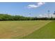 Vast open sports field with lush green grass and multiple lighting fixtures on a clear day at 1703 Dotterers Run, Charleston, SC 29414