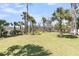 Large grassy backyard with tall palms and a hammock at 1720 Bowline Dr, Mount Pleasant, SC 29466