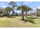 Spacious backyard with beautiful palm trees and lush lawn at 1720 Bowline Dr, Mount Pleasant, SC 29466