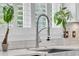 A kitchen sink with counter plants in front of shuttered windows at 1720 Bowline Dr, Mount Pleasant, SC 29466