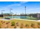 Community pickleball courts boasting multiple courts, a shaded seating area, and well-maintained grounds at 220 Garden Gate Way, Summerville, SC 29486