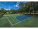 Neighborhood basketball court surrounded by trees and a chain link fence at 2650 Summer Leaves Ct, Charleston, SC 29414