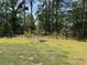Serene backyard with a grassy lawn and a natural wooded border for privacy at 305 Camellia Bloom Dr, Moncks Corner, SC 29461