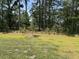 Lush green backyard with mature trees providing shade and privacy at 305 Camellia Bloom Dr, Moncks Corner, SC 29461