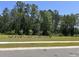 A view of a green community lawn area with sidewalks, young tree plantings, and mature tree line in the distance at 305 Camellia Bloom Dr, Moncks Corner, SC 29461