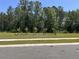 Green community space has sidewalks with young tree plantings and mature trees in the background at 305 Camellia Bloom Dr, Moncks Corner, SC 29461