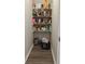 Walk-in pantry with ample storage space and shelving for food items at 305 Camellia Bloom Dr, Moncks Corner, SC 29461