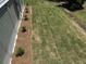 Lush backyard featuring manicured grass and vibrant landscaping, ideal for outdoor enjoyment at 305 Matilda St, Edisto Beach, SC 29438