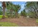 A wooded backyard with a canopy of palm trees leads to a dock in the waterway at 3331 Cottonfield Dr, Mount Pleasant, SC 29466