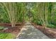 Concrete path leading to the home lined with crape myrtle trees at 3331 Cottonfield Dr, Mount Pleasant, SC 29466