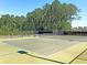Community tennis court with nets in a wooded area, for active homeowners at 3529 Habenaria Rd # 33, Mount Pleasant, SC 29466